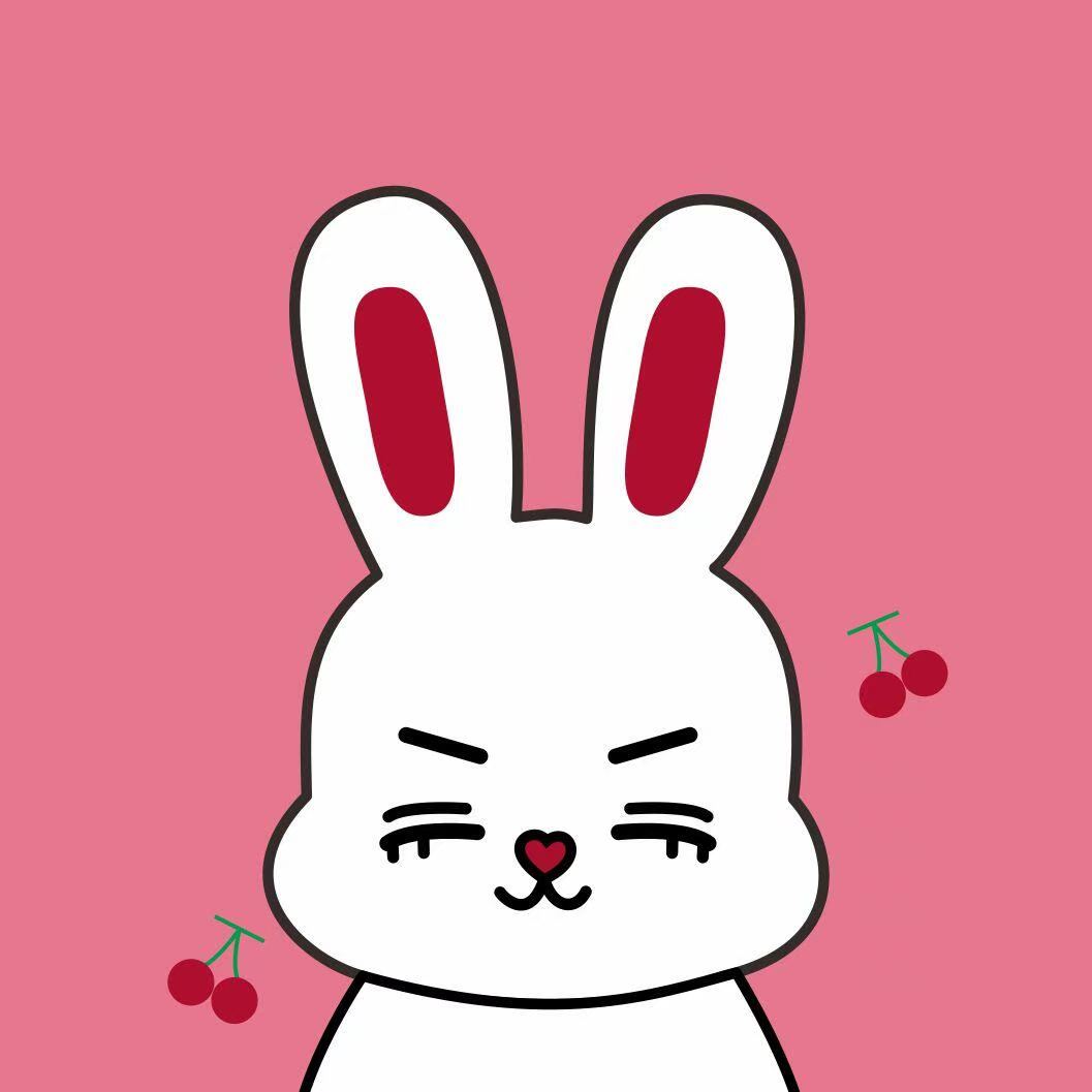 S.Coups MINITEEN